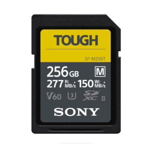 SFM256T/T1