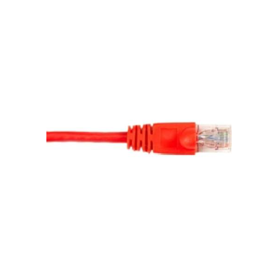 CAT6PC-007-RD