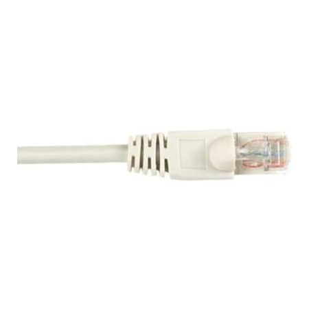 CAT6PC-010-GY
