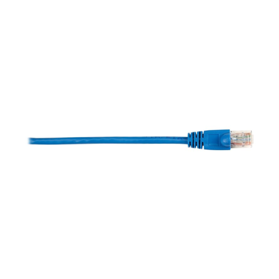 CAT6PC-003-BL-25PAK